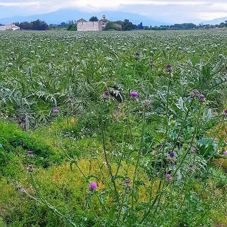 Maison De Maître Dans Le Village, Bord De Hébergement de vacances